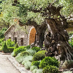 Domaine Les Mésanges Affittacamere